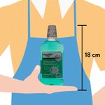 Enjuague-Bucal-Equate-Spring-Mint-500ml-4-13251