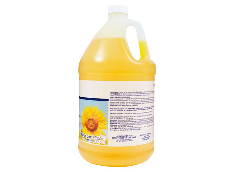 Jab-n-Liquido-Equate-Antibacterial-Aroma-Campos-De-Girasol-3785-Ml-3-49007