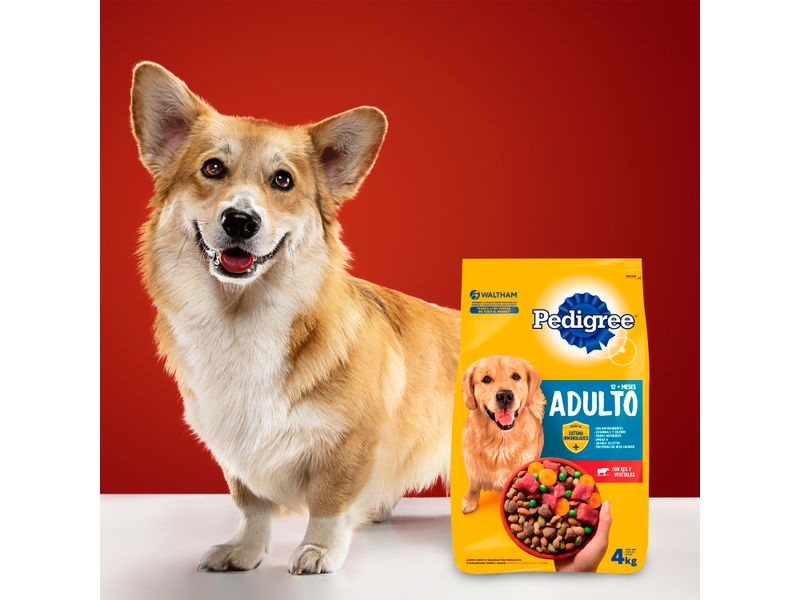 Alimento-Seco-Para-Perros-Adultos-Pedigree-Res-y-Vegetales-4Kg-11-4492