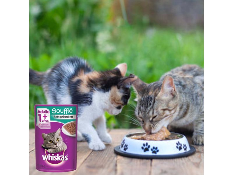 Alimento-Humedo-Gato-Whiskas-Souffle-At-n-y-Sardina-85gr-6-37975