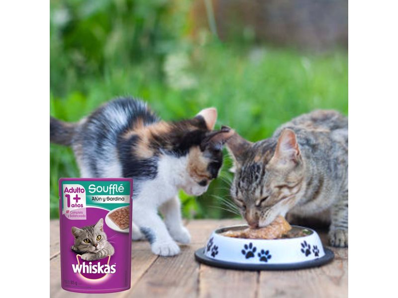 Alimento-Humedo-Gato-Whiskas-Souffle-At-n-y-Sardina-85gr-6-37975