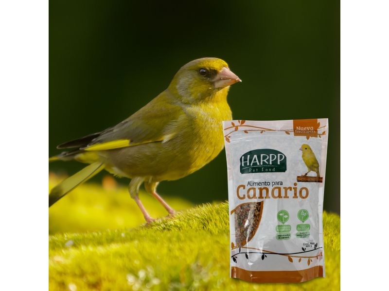 Alimento-Harpp-Vitamin-Para-Canario-400gr-4-15376