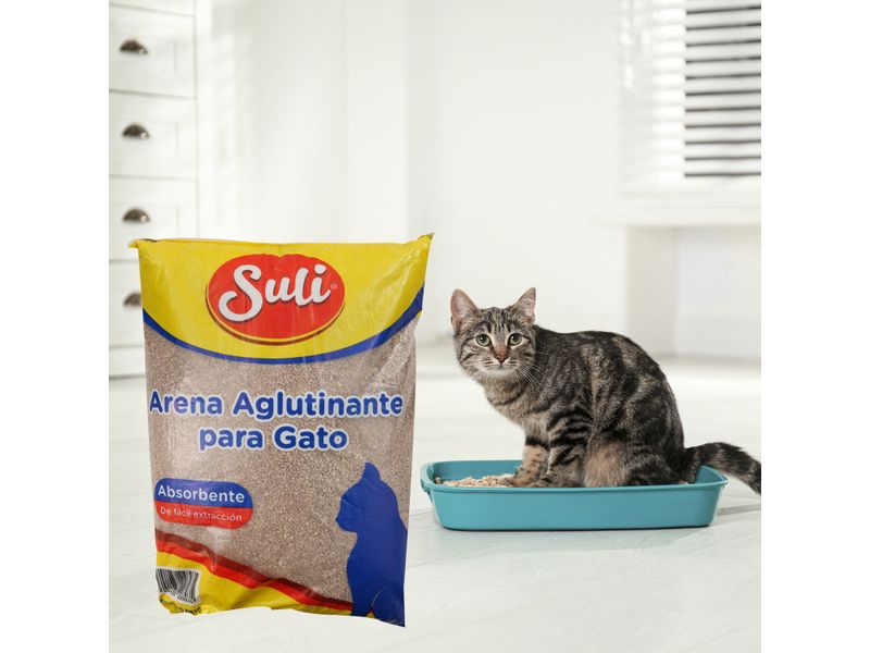 Arena-Suli-Aglutinante-Para-Gato-3000Gr-4-34110