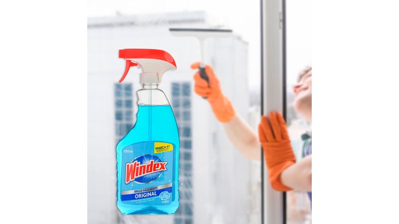 Limpiador de ventanas DOITOOL para limpiar ventanas de vidrio multiusos  para limpiar el piso del azulejo de vidrio del coche lavador para el hogar