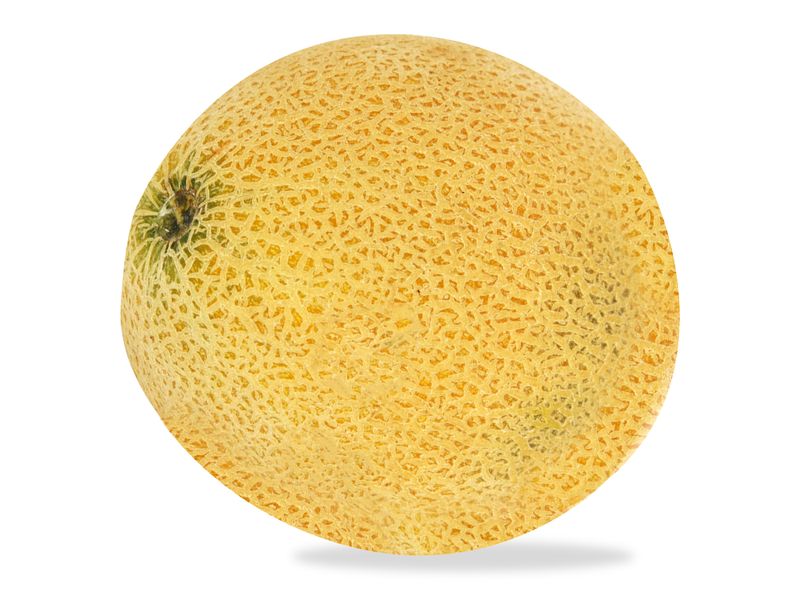 Melon-Cantaloupe-1-Unidad-2-100