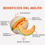 Melon-Cantaloupe-1-Unidad-3-100