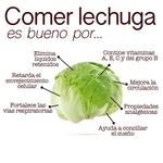 Lechuga-Libra-Unidad-contiene-1Lb-Aproximadamente-3-43909