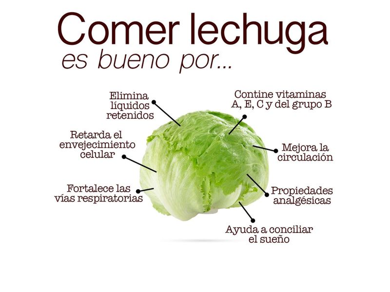 Lechuga-Libra-Unidad-contiene-1Lb-Aproximadamente-3-43909