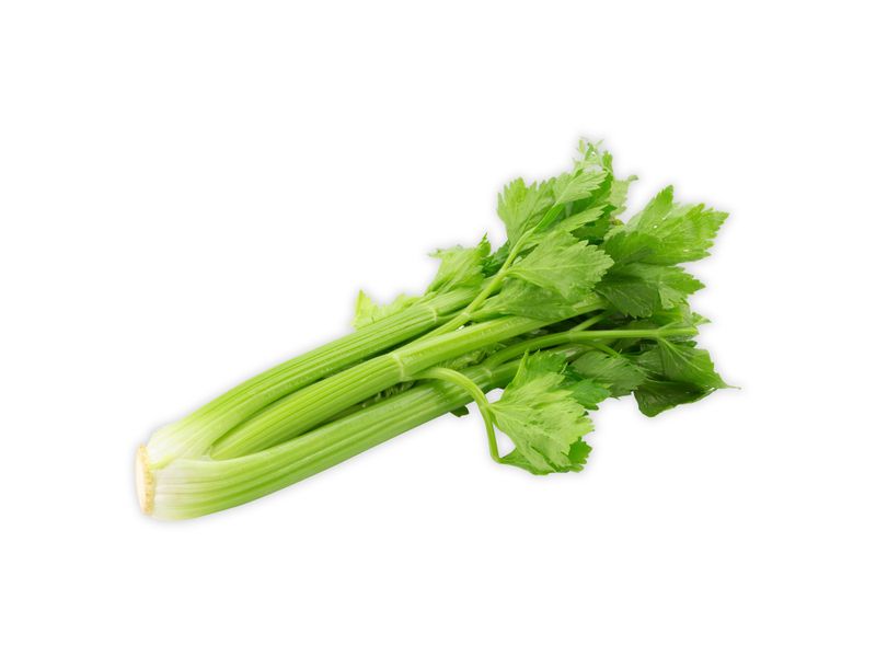 GTIN-0000000040716-02