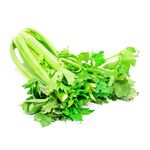 GTIN-0000000040716-03