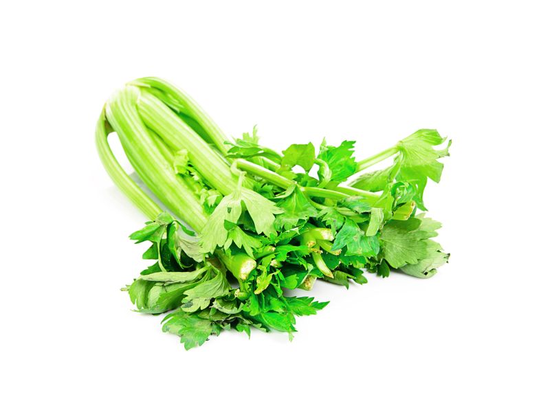 GTIN-0000000040716-03