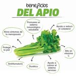 GTIN-0000000040716-04