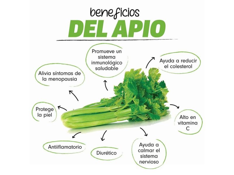 GTIN-0000000040716-04