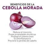 Cebolla-Morada-Libra-2-Unidades-por-Lb-Aproximadamente-3-43914
