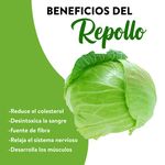 Repollo-Blanco-1-Unidad-3-127