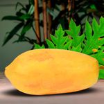 Papaya-Unidad-4-59655