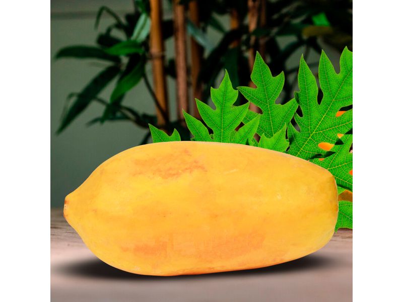 Papaya-Unidad-4-59655