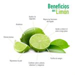 Limon-Persa-Red-10-Unidades-3-29411