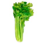 GTIN-0000000040716-01