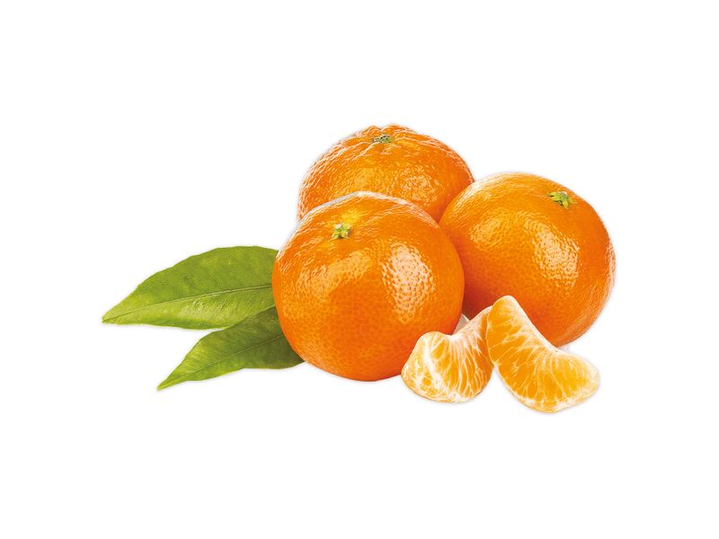 Mandarina-Clementina-Libra-4-Unidades-Por-Lb-Aproximadamente-1-43899