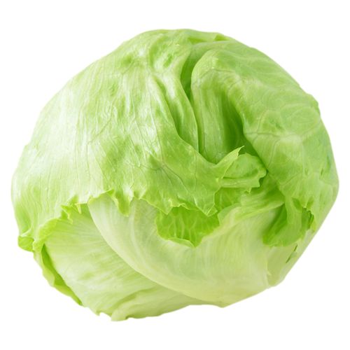 Lechuga Libra -  Unidad contiene 1Lb. Aproximadamente