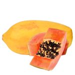 Papaya-Unidad-1-59655