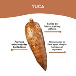 Yuca-Encerada-Libra-1-Unidad-por-Lb-Aproximadamente-3-43970