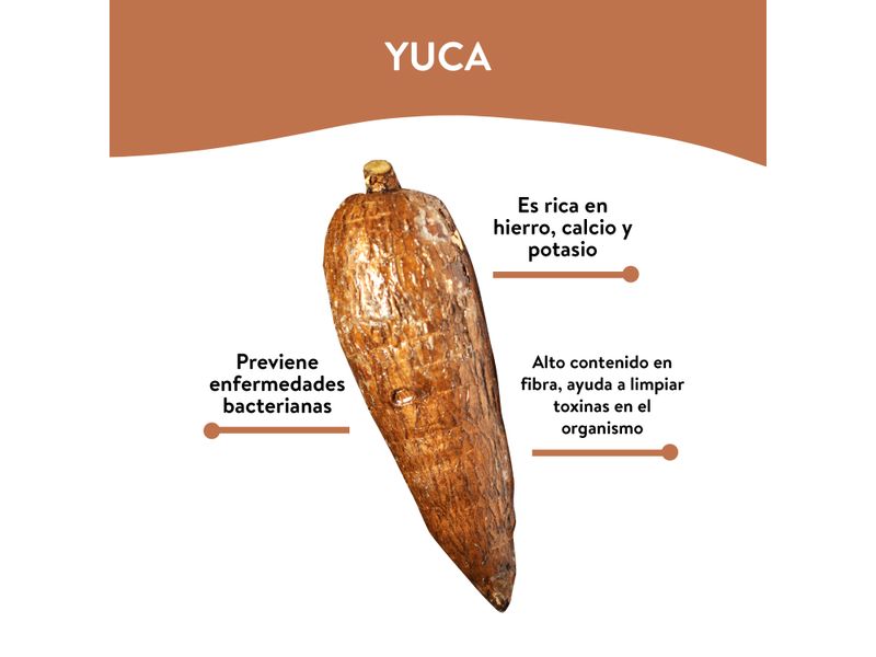 Yuca-Encerada-Libra-1-Unidad-por-Lb-Aproximadamente-3-43970