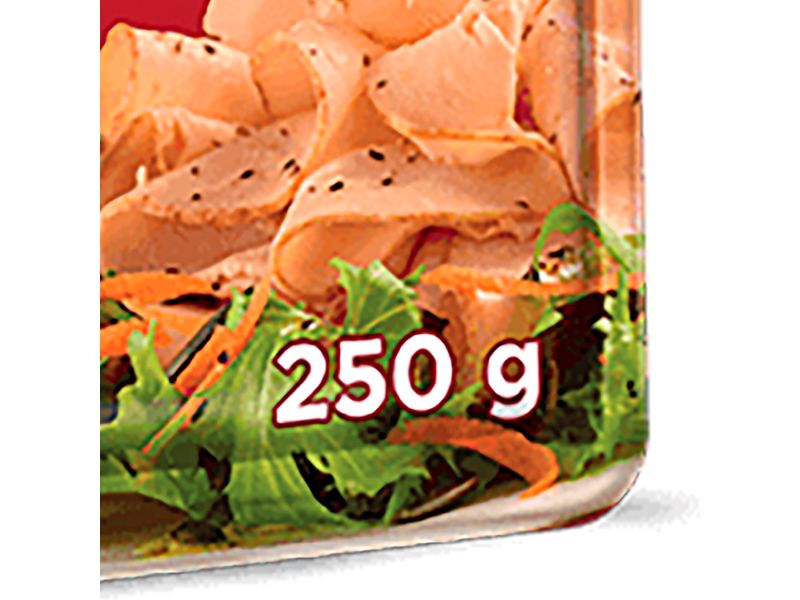 Jam-n-de-Pavo-San-Rafael-Pechuga-Cl-sica-Lb-3-44179