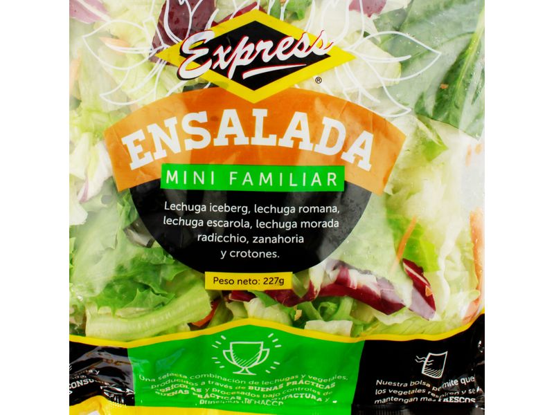 Ensalada-Express-Mini-Familiar-3-29426