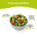 Ensalada-Express-Mini-Familiar-4-29426