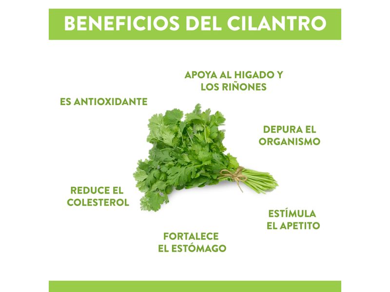 Cilantro-Beluga-Hierbas-Frescas-1-Unidad-3-29458