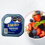 Yogurt-Lala-Griego-Natural-120gr-4-48880