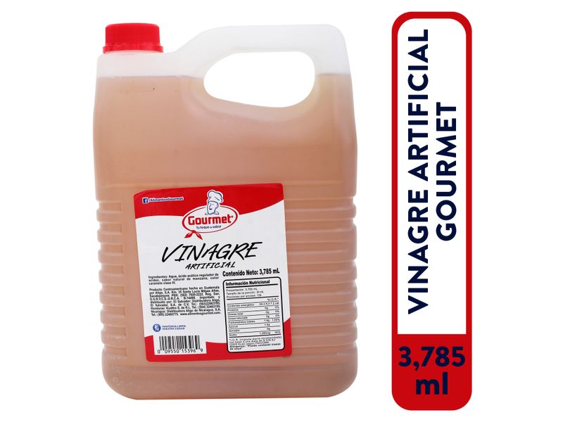 Vinagre-Gourmet-Arti-3785ml-1-56271