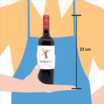 Vino-Montes-Tinto-Clasic-Cabernet-Sauvgnon-750ml-5-13555
