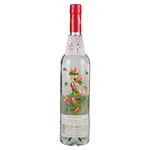 Vodka-Grey-Goose-Strawber-Lemongras-750ml-2-50924