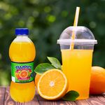 Bebida-Tampico-Citrus-Punch-480ml-5-8494