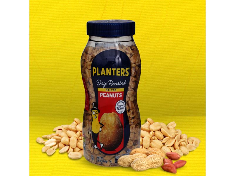 Dry-Roasted-Peanuts-Planters-453gr-5-67129