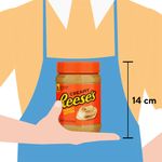 Hersheys-Reeses-Peanut-Butt-510Gr-3-61476