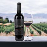 Vino-Tinto-Carnivor-Cabernet-750ml-4-54987
