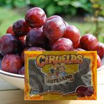 GTIN-0619047000708-04