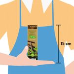 Chocolate-Baronie-Sticks-Menta-75gr-4-14655