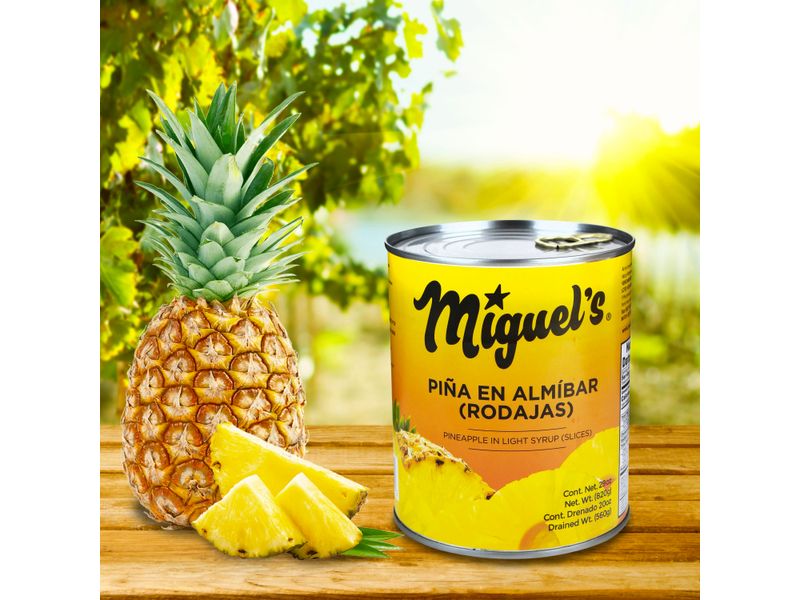 Pina-Miguel-s-En-Almibar-Rodajas-480gr-5-15238