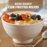 Avena-Quaker-Instant-nea-Fresa-40gr-4-16868