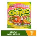 Gomitas-Guandy-Gajos-Citrico-Ce-100Gr-1-15199