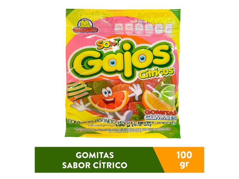 Gomitas-Guandy-Gajos-Citrico-Ce-100Gr-1-15199