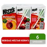 6-Pack-Nectar-Kerns-Tetrabrick-250ml-1-8315