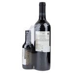 Vino-Mancuraetnia-Cabernet-Quintom950-Ml-2-67238