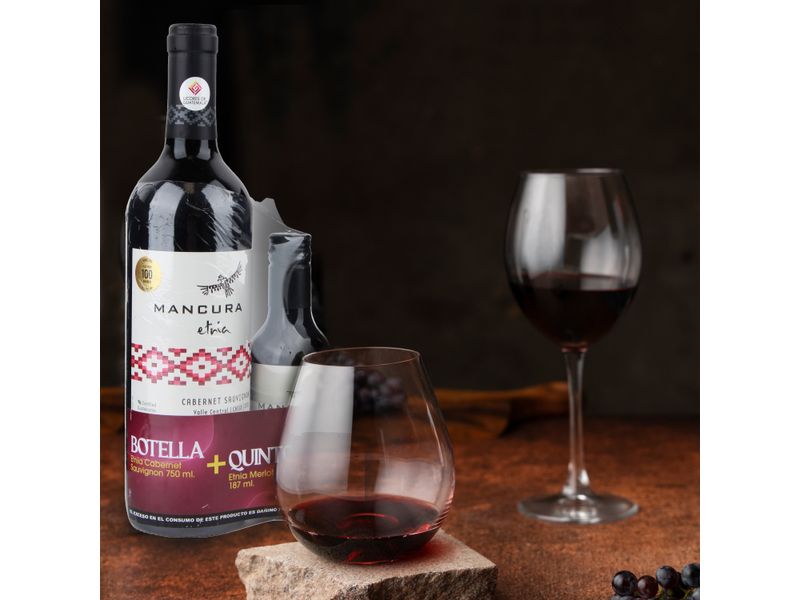 Vino-Mancuraetnia-Cabernet-Quintom950-Ml-4-67238