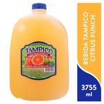 Bebida-Tampico-Citrus-Punch-3755ml-1-26728